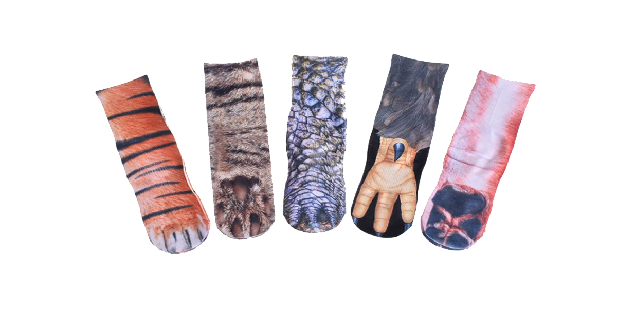 Animal Feet Printed Sock (5-Pack)