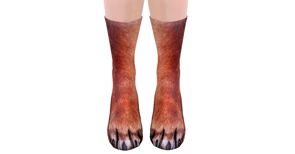 Animal Feet Printed Sock (5-Pack)